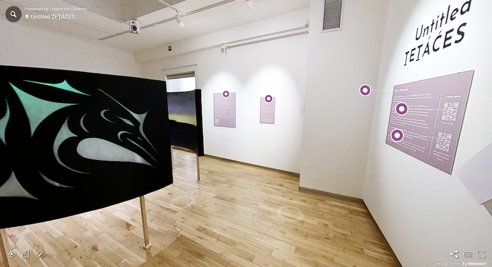 screenshot of the virtual version of the map installation